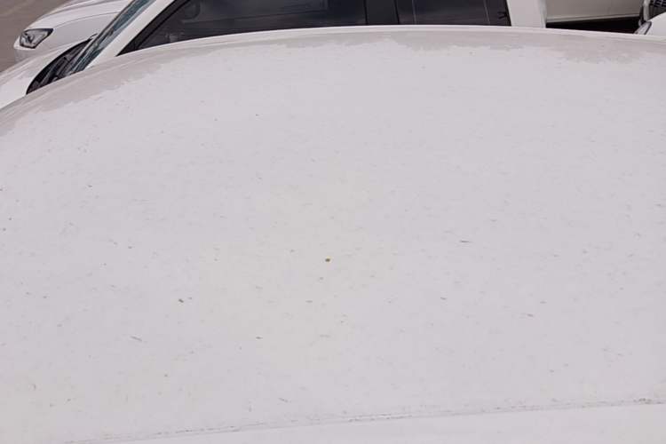 Used Roewe Clever 2022 311km QiQi BoBo Edition Roof