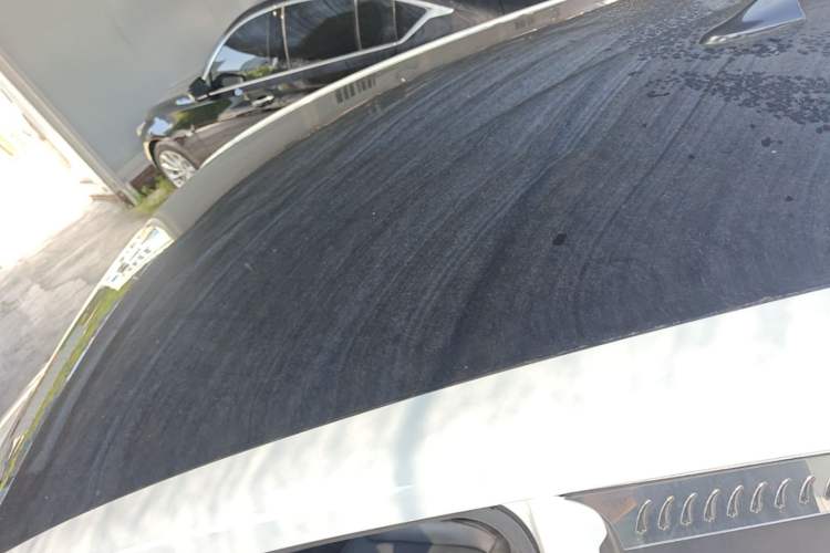 Used Roewe Clever 2022 311km QiQi BoBo Edition Roof