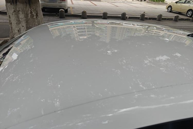 Used Roewe Clever 2022 311km QiQi BoBo Edition Roof