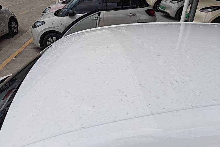 Used Roewe Clever 2022 311km QiQi BoBo Edition Roof