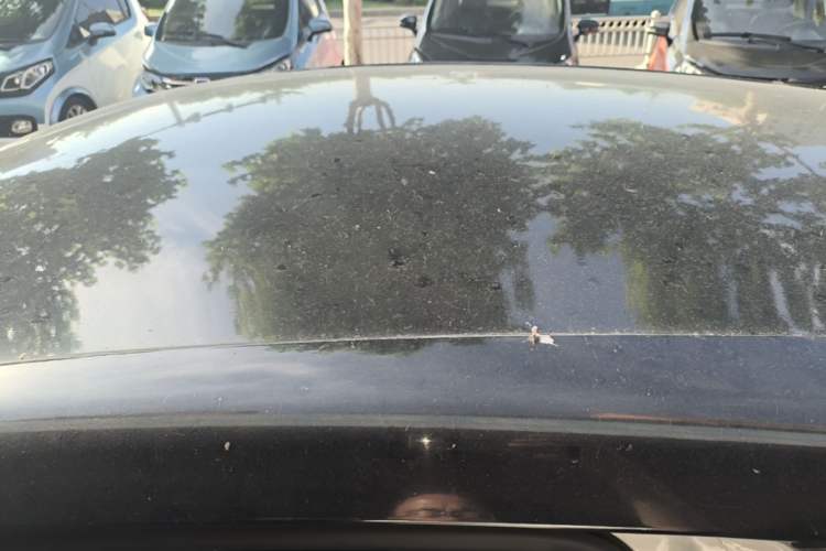 Used Roewe Clever 2022 311km QiQi BoBo Edition Roof