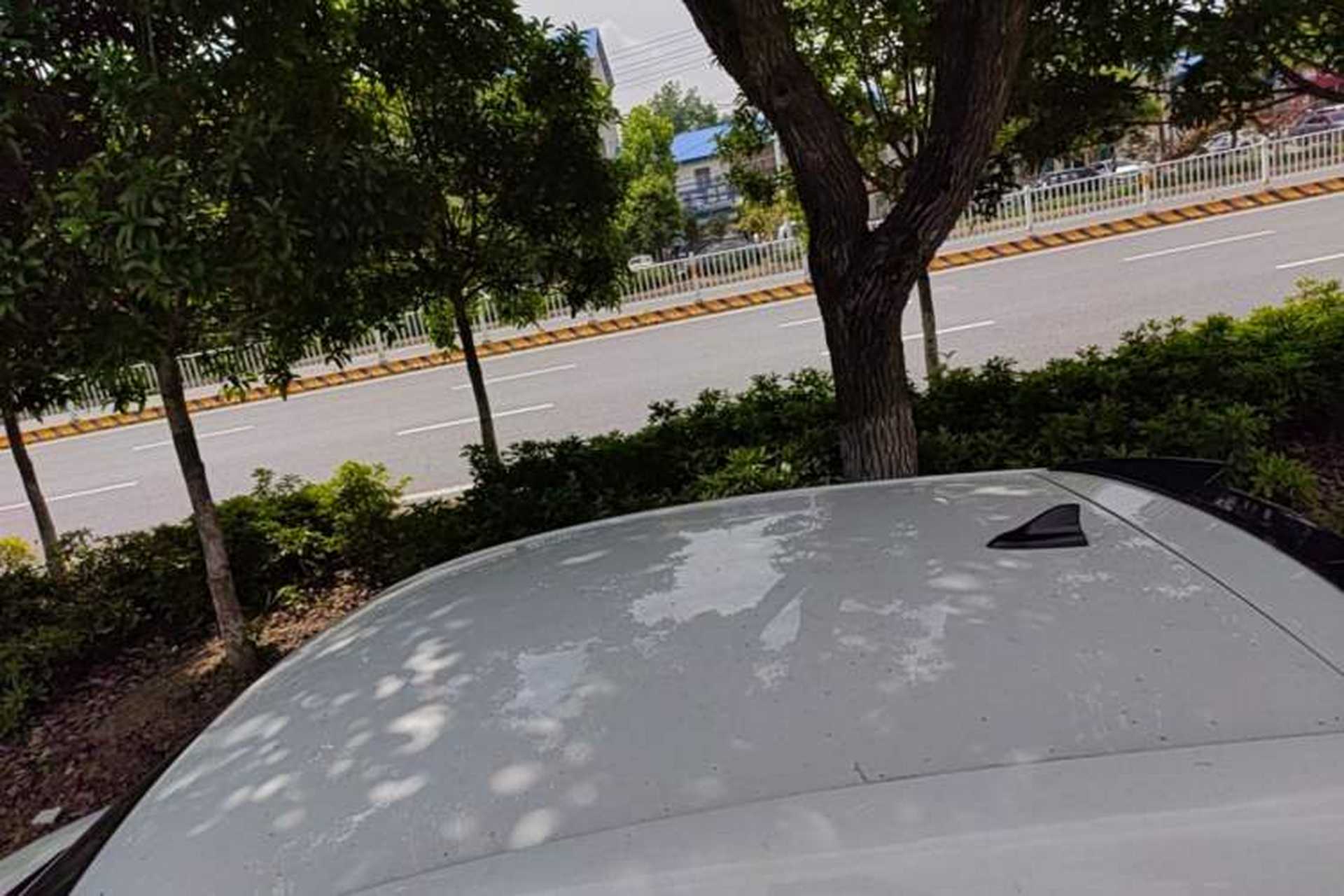 Used Roewe Clever 2022 311km QiQi BoBo Edition Roof