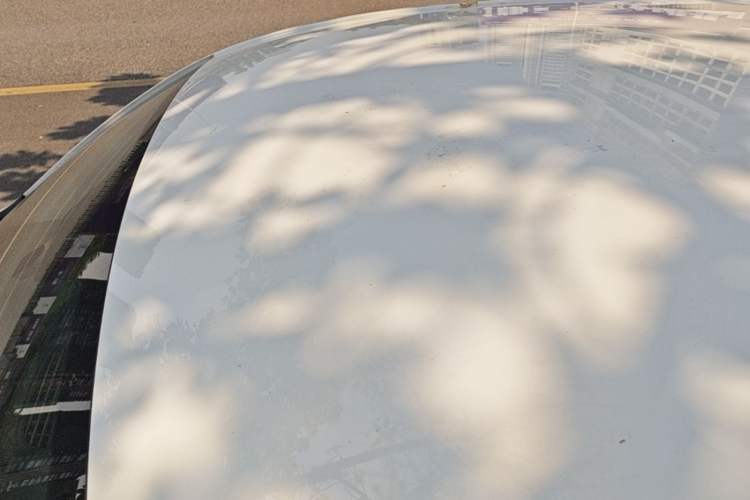 Used Roewe Clever 2022 311km QiQi BoBo Edition Roof