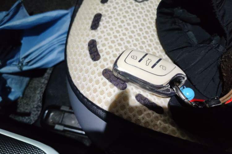 Used Roewe Clever 2022 311km QiQi BoBo Edition Vehicle Key