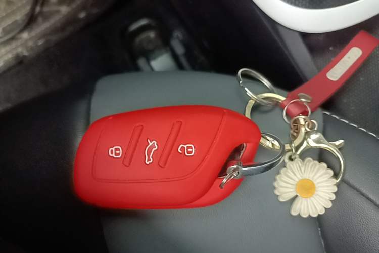 Used Roewe Clever 2022 311km QiQi BoBo Edition Vehicle Key