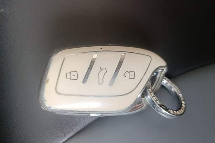 Used Roewe Clever 2022 311km QiQi BoBo Edition Vehicle Key