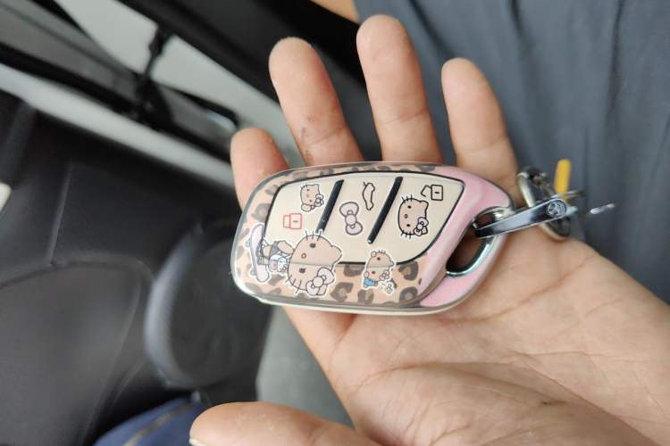 Used Roewe Clever 2022 311km QiQi BoBo Edition Vehicle Key