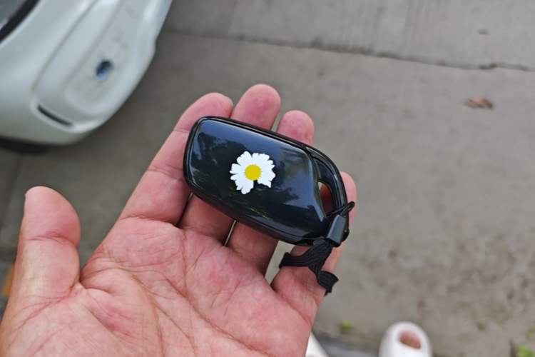 Used Roewe Clever 2022 311km QiQi BoBo Edition Vehicle Key