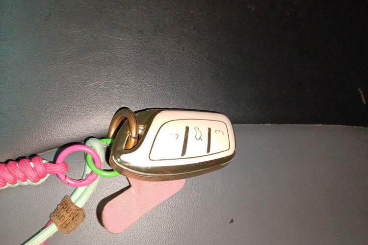 Used Roewe Clever 2022 311km QiQi BoBo Edition Vehicle Key