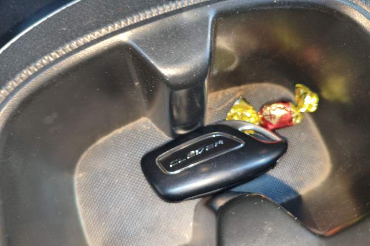 Used Roewe Clever 2022 311km QiQi BoBo Edition Vehicle Key