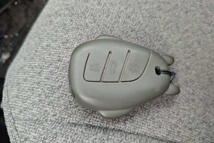 Used Roewe Clever 2022 311km QiQi BoBo Edition Vehicle Key