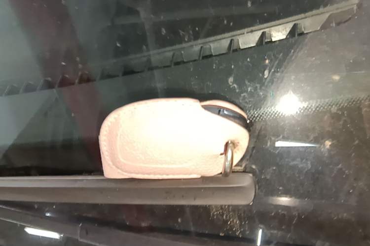 Used Roewe Clever 2022 311km QiQi BoBo Edition Vehicle Key