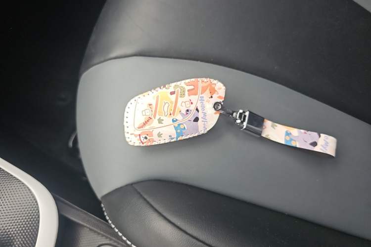 Used Roewe Clever 2022 311km QiQi BoBo Edition Vehicle Key