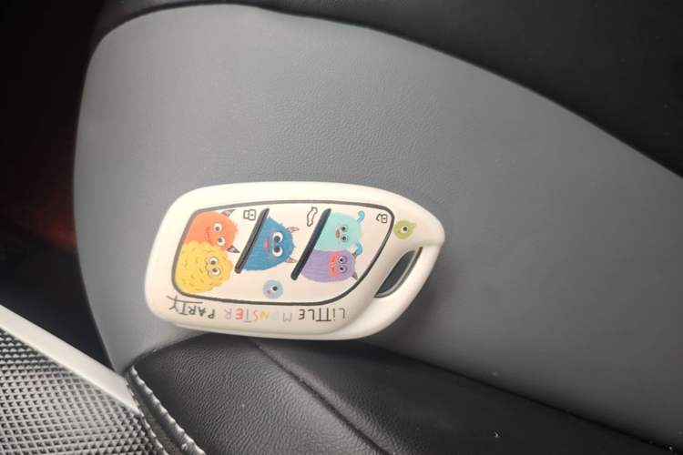 Used Roewe Clever 2022 311km QiQi BoBo Edition Vehicle Key