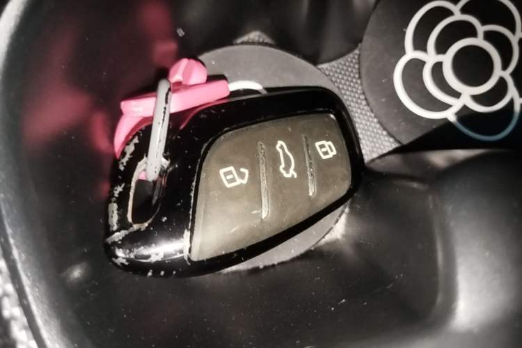 Used Roewe Clever 2022 311km QiQi BoBo Edition Vehicle Key