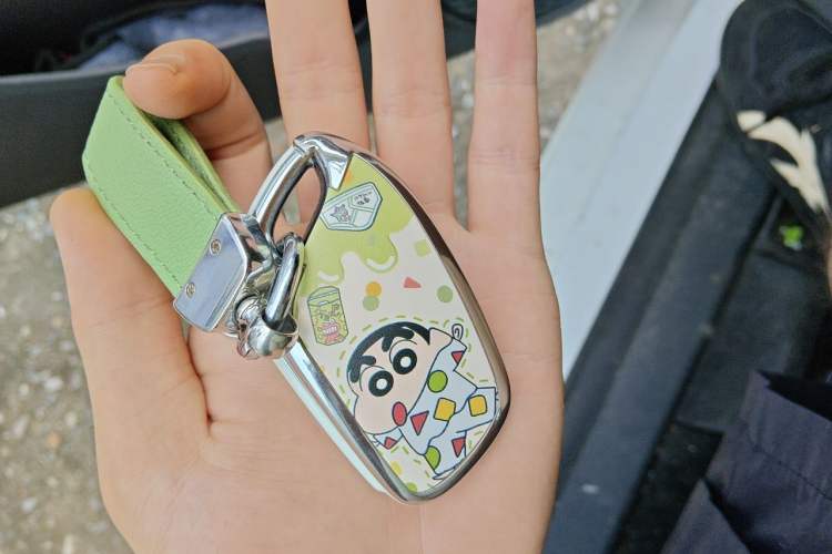 Used Roewe Clever 2022 311km QiQi BoBo Edition Vehicle Key