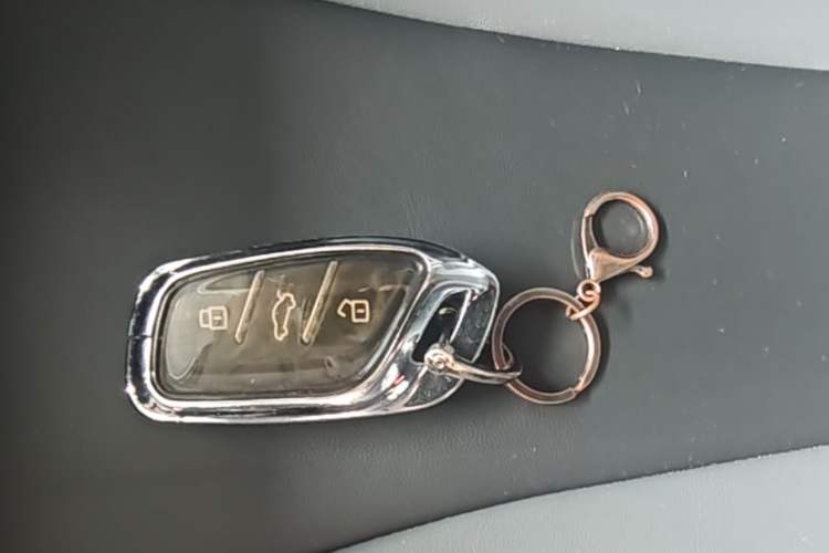 Used Roewe Clever 2022 311km QiQi BoBo Edition Vehicle Key