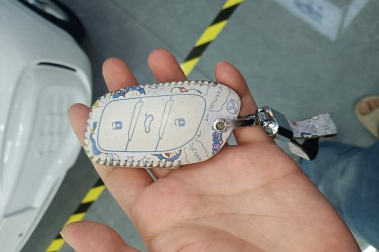 Used Roewe Clever 2022 311km QiQi BoBo Edition Vehicle Key