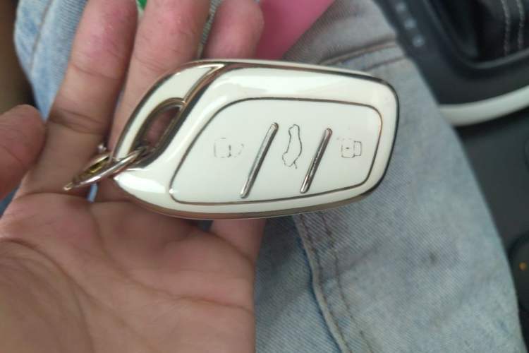 Used Roewe Clever 2022 311km QiQi BoBo Edition Vehicle Key