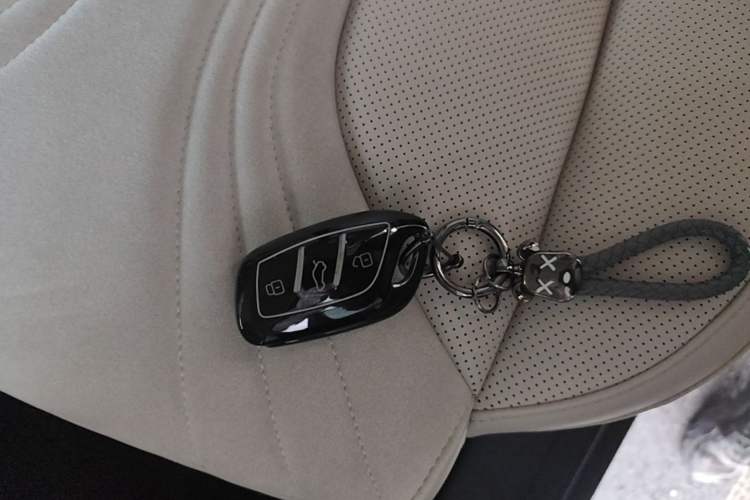 Used Roewe D5X DMH 2024 135 Tech Edition Interior 1