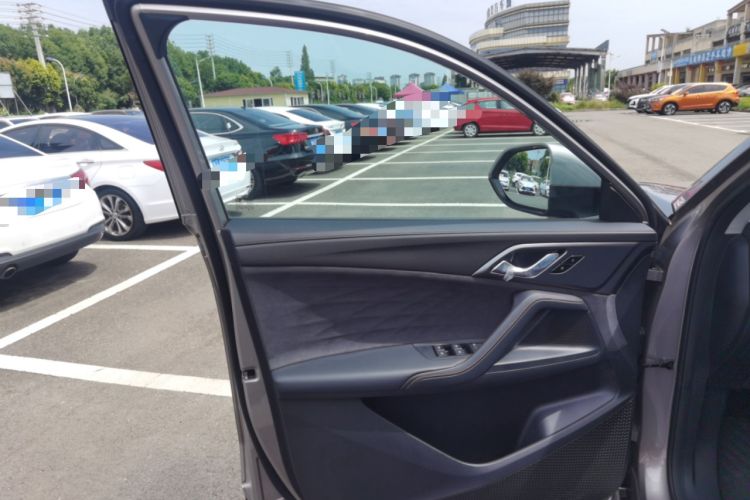 Used Roewe D5X DMH 2024 135 Flagship Edition Left Front Door Interior