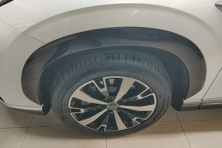 Used Roewe D5X DMH 2024 135 Flagship Edition Exterior 4