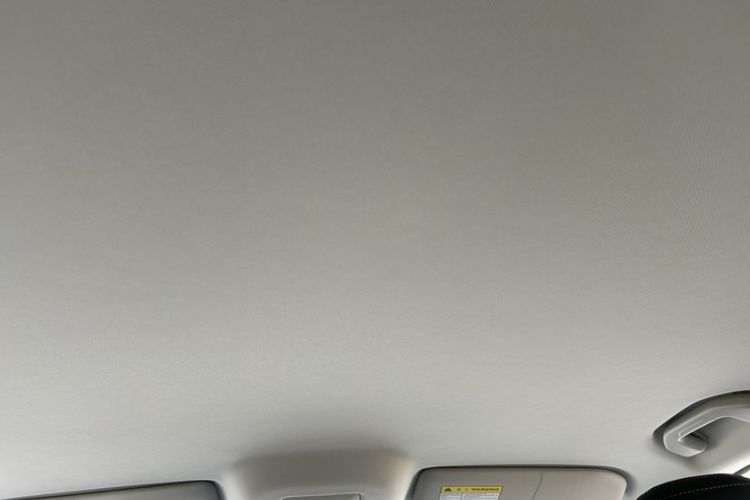 Used Roewe D5X DMH 2024 135 Luxury Edition Headliner