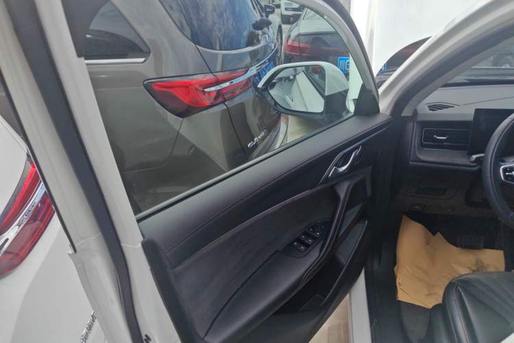 Used Roewe D5X DMH 2024 135 Tech Edition Left Front Door Interior