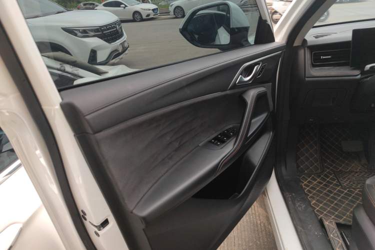Used Roewe D5X DMH 2024 135 Tech Edition Left Front Door Interior