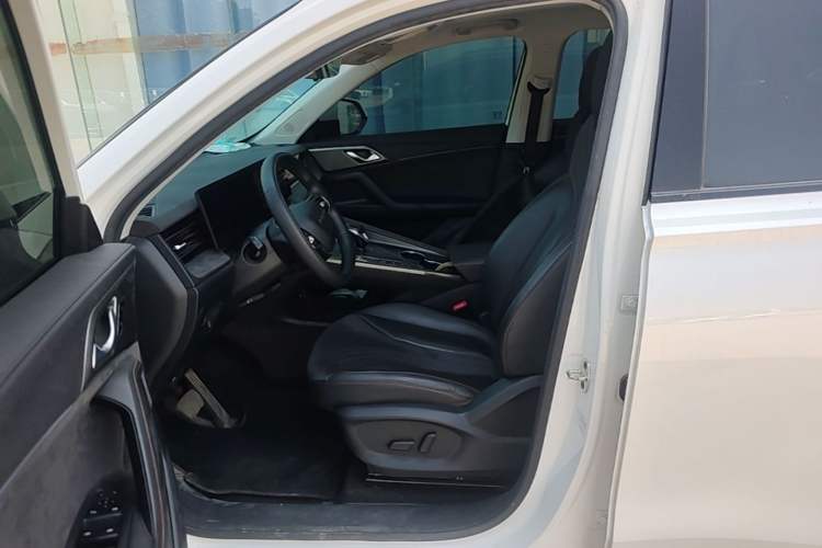 Used Roewe D5X DMH 2024 135 Flagship Edition Left Front Seat