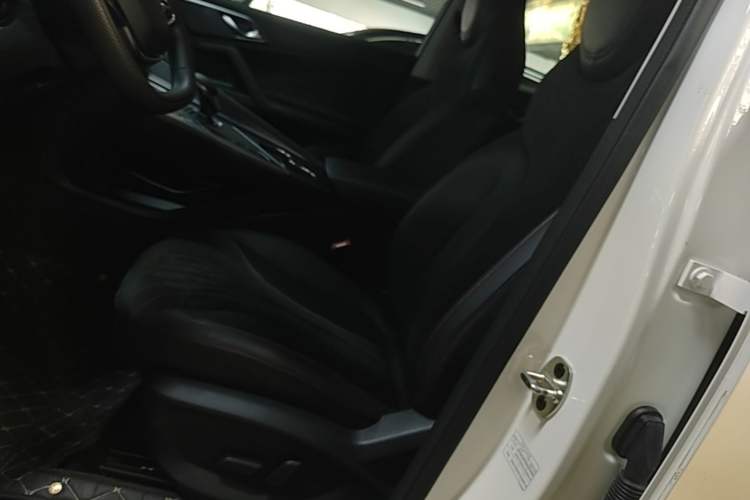 Used Roewe D5X DMH 2024 135 Flagship Edition Left Front Seat