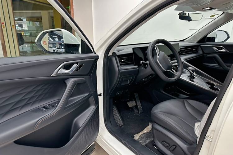 Used Roewe D5X DMH 2024 135 Luxury Edition Left Front Seat
