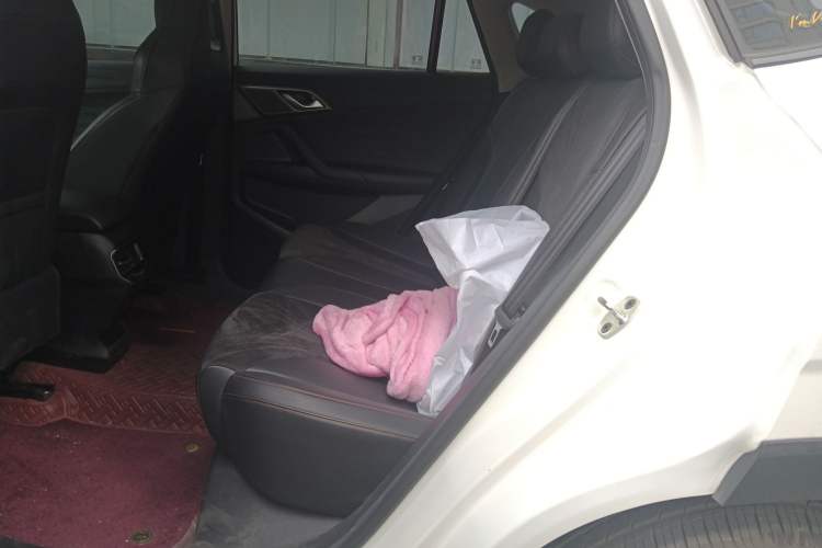 Used Roewe D5X DMH 2024 135 Flagship Edition Left Rear Seat