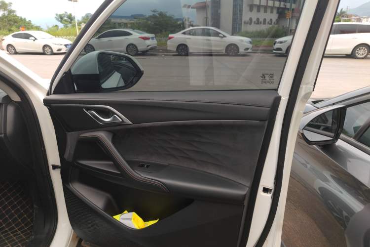 Used Roewe D5X DMH 2024 135 Tech Edition Right Front Door Interior