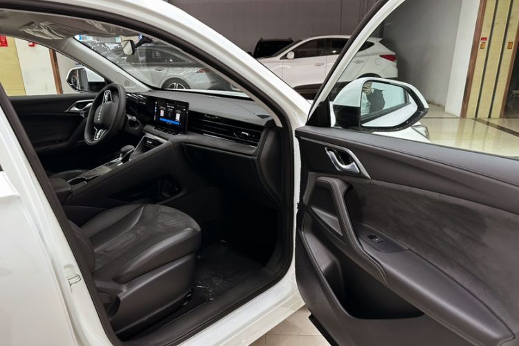 Used Roewe D5X DMH 2024 135 Flagship Edition Right Front Seat