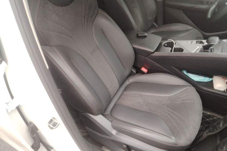 Used Roewe D5X DMH 2024 135 Tech Edition Right Front Seat