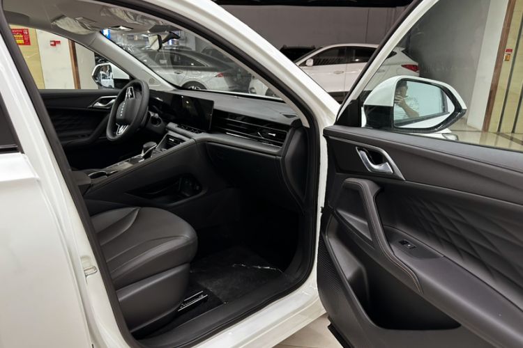 Used Roewe D5X DMH 2024 135 Luxury Edition Right Front Seat