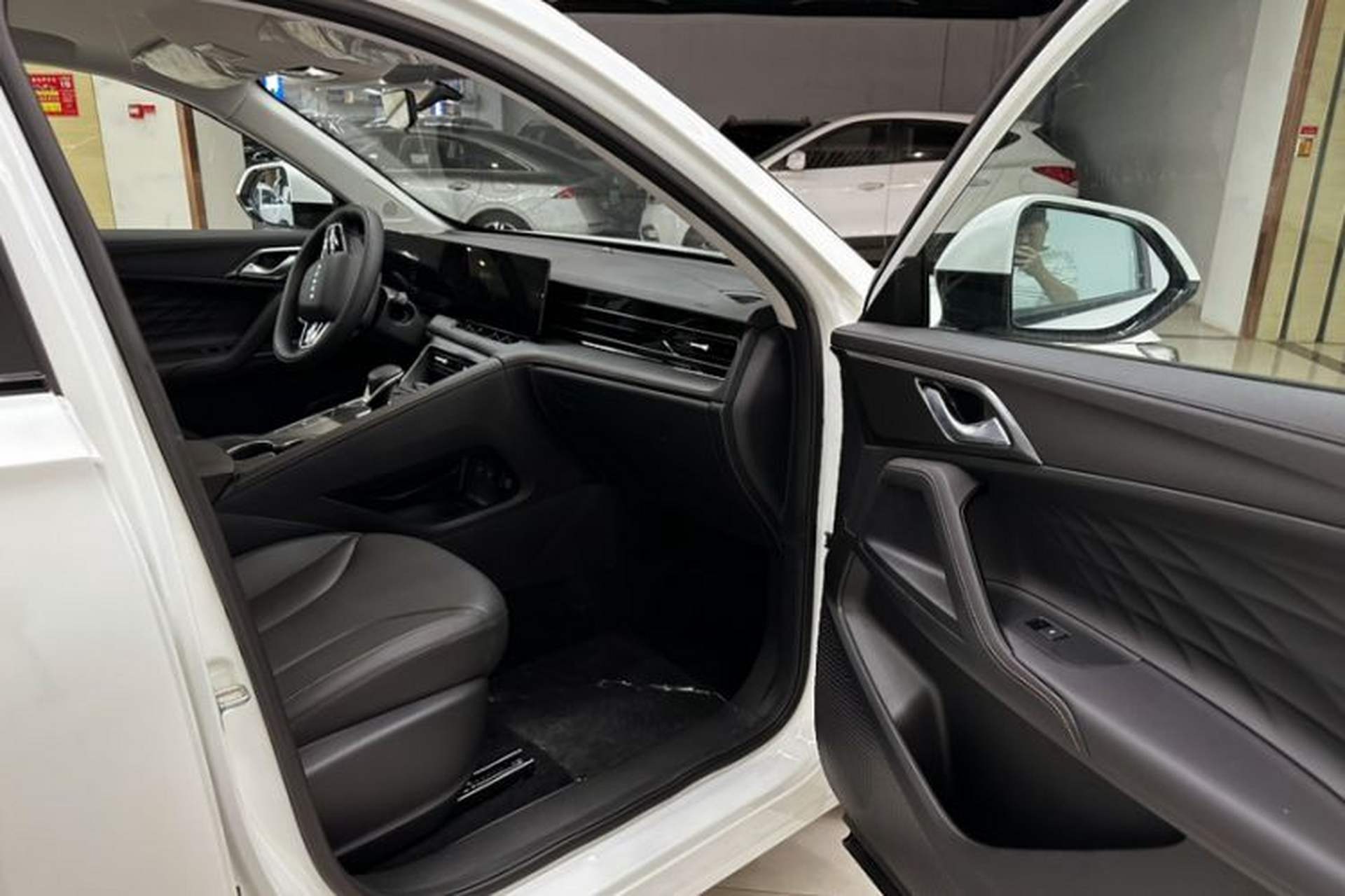 Used Roewe D5X DMH 2024 135 Luxury Edition Right Front Seat