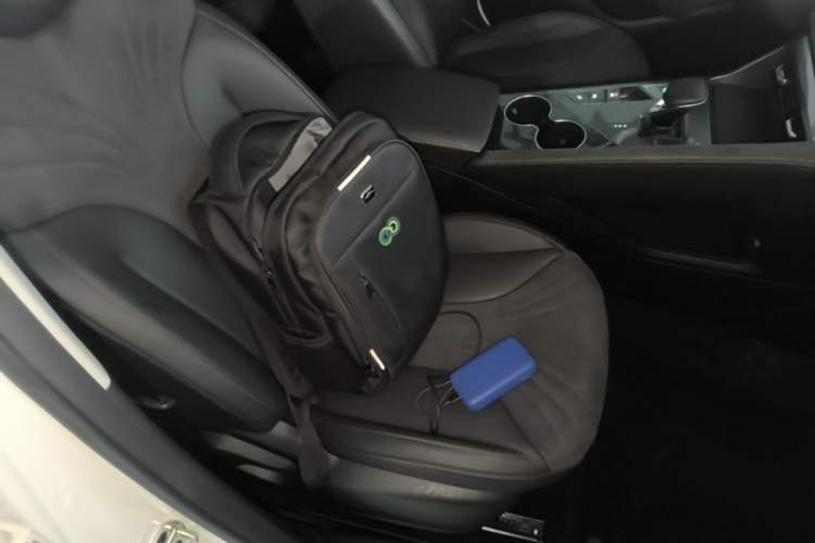 Used Roewe D5X DMH 2024 135 Flagship Edition Right Front Seat