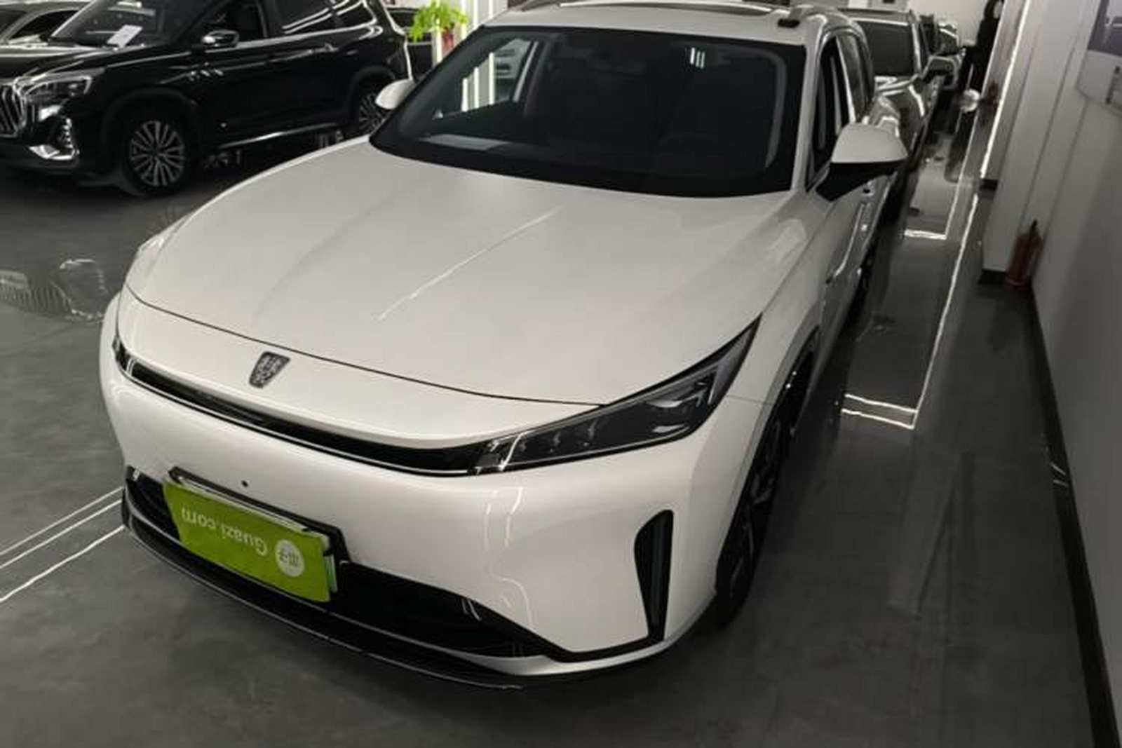 Фото Roewe с площадки