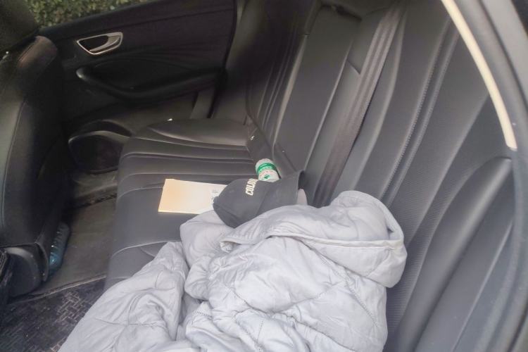 Used Roewe D7 2023 DMH 125km Superior Edition Left Rear Seat
