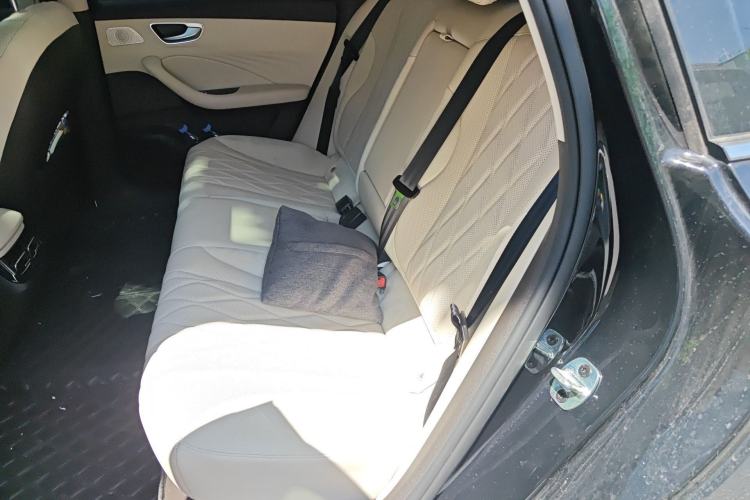 Used Roewe D7 2023 DMH 125km Flagship Edition Left Rear Seat