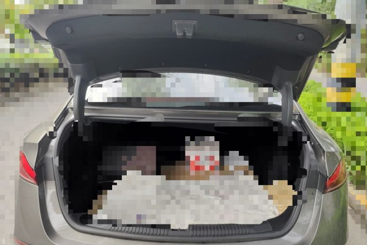 Used Roewe D7 2023 DMH 125km Excellence Edition Trunk