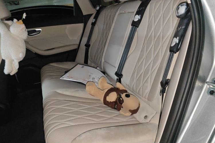 Used Roewe D7 2023 DMH 125km Excellence Edition Left Rear Seat