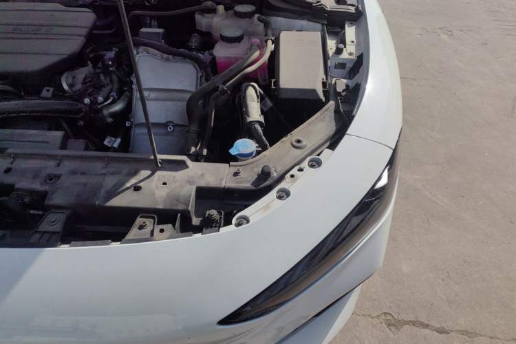 Used Roewe D7 2023 DMH 125km Superior Edition Engine Bay Left