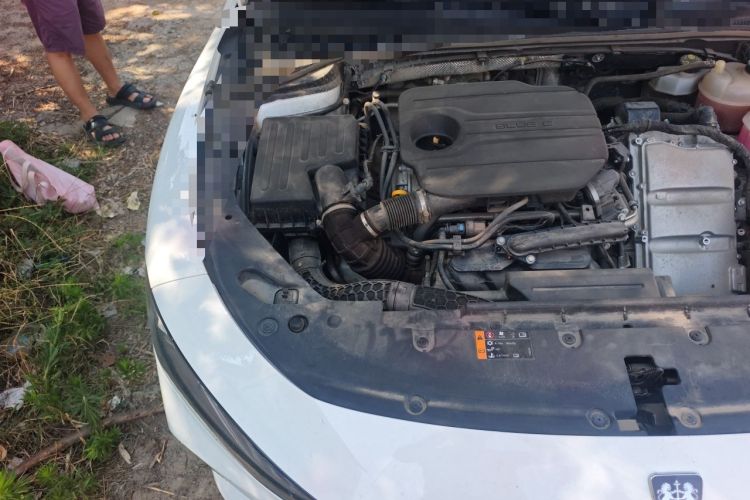 Used Roewe D7 2023 DMH 125km Superior Edition Engine Bay Right