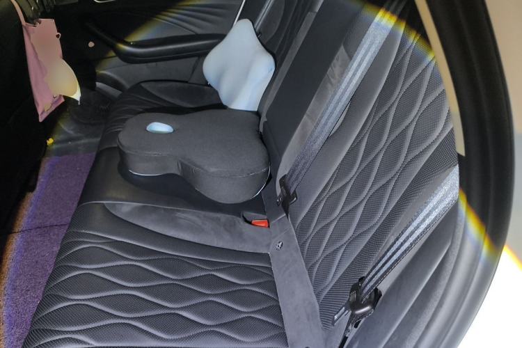 Used Roewe D7 2023 EV 510km Rear-Drive Flagship Edition Left Rear Seat