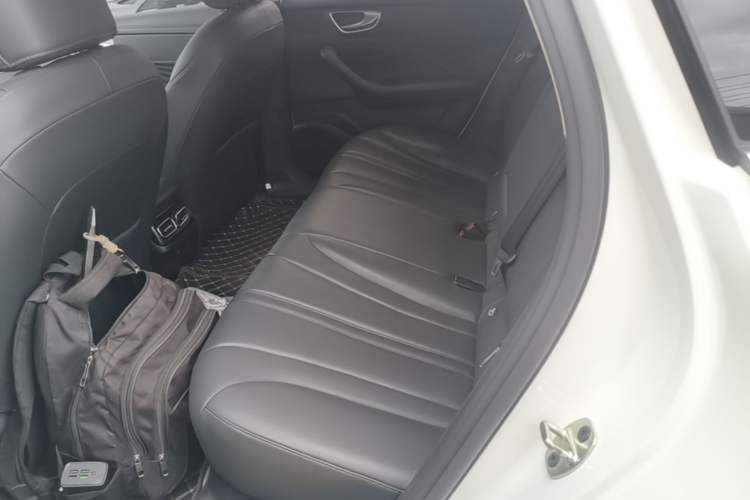 Used Roewe D7 2023 DMH 125km Superior Edition Left Rear Seat