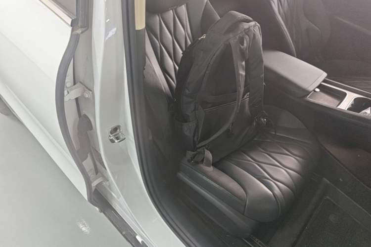 Used Roewe D7 2023 EV 510km Rear-Drive Excellence Edition Right Front Seat