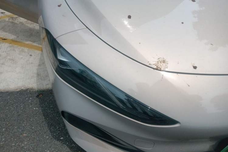 Used Roewe D7 2025 DMH 125km World Champion Excellence Edition Right Front Headlight